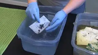 Flooded & Wet : DIY Heirloom Photo Recovery