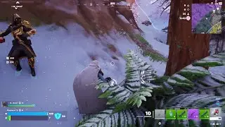 Fortnite - Potah a Tik