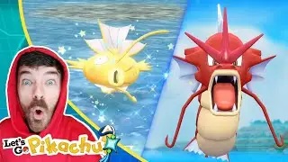 Shiny Magikarp & Shiny Gyarados Caught Wild | Pokemon Let's Go Pikachu Extreme Shiny Living Dex