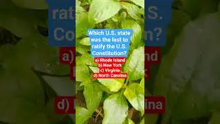 Which U.S. state was the last to ratify the U.S. Constitution?