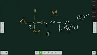 Human Reproduction L-29 | 10-01-26 | AMAR SHINDE  Sir | Biology 11th B5 NEET | VSA