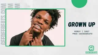 FREE Roboy Type Beat  | Grown Up | New 1017 Type Beat 2021