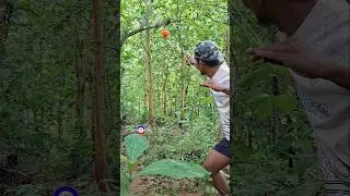 focus point red balloon #shortsvideo
