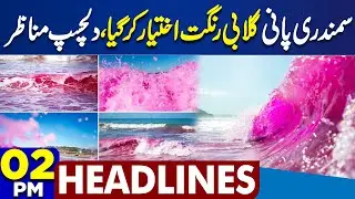 Heavy Rain And Terrible Flood | Sea Water Turned Pink | Gilgit Baltistan Destruction |2PM Headlines