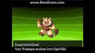 Pokemon Uranium: Primeape evolved into Empirilla