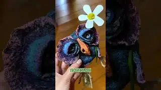 Каждому по птице!💚🦉Мы в СПБ и Н.Новгороде, номер в шапке профиля