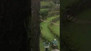 ❤️Baguio.#229 Bell Amphitheater @Camp John Hay.                            #historical#landmark