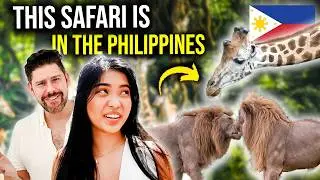 FOREIGNERS react to SAFARI in THE PHILIPPINES!