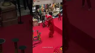 ATRAKSI BARONGSAI 2024 , Di PURI INDAH MALL !! #barongsai #liondance  #imlek2024