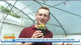 De aproape trei decenii, Olga Mocan colecționează cactuși