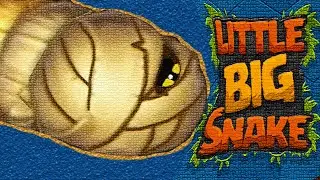 Little Big Snake. Новый скин МУМИЯ. Охота на короны и баблы. Игры про змей.#27