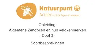 Opleiding Algemene Zandbijen en hun veldkenmerken -  Deel 3