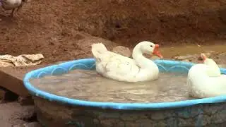 01/21/2026 Changed the Water
