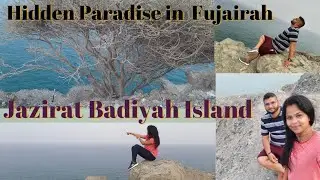 Secret Island in Fujairah |Jazirat Badiyah| Hidden Gem in UAE| Must visit place #island #uae #vlog