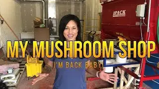 I'm Back! New Funky Fungi Mushroom Warehouse