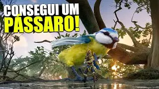 FINALMENTE! CONSEGUI UM PÁSSARO! | Smalland Survival the Wild