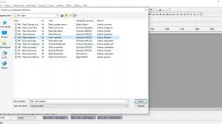 Tutorial Audacity pour les chants d'oiseaux