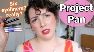February check in - Project Pan 2025