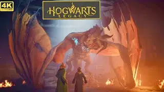 HOGWARTS LEGACY Gameplay Part 19 - Walkthrough (No Commentary, 4K 60FPS)