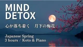 Fall Asleep with Relaxing Wave Sounds at Night | 月光と梅花に癒される　3時間の波の音と睡眠音楽　リラックス　睡眠　音楽　ストレス解消