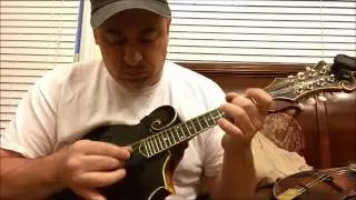 Side by Side Test Drive of Silverangel Mandolins