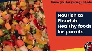 Nourish to Flourish: Healthy foods for parrots