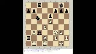 Voigt, Martin vs Sedlak, Nikola | Bundesliga Chess 2024 2025, Deggendorf Germany