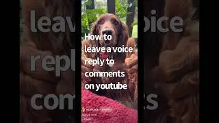 How to leave a voice reply on YouTube comments! #howto #voicereply #youtubetips