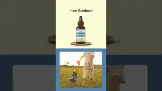 FOCUS FORMULA VIDEO  #herbs #organichealth #kids