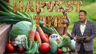 Harvest Time Week 1