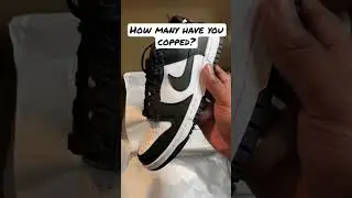 🚨🐼 These DUNKS won&rsquo;t BRICK! Nike Dunk Low Panda #shorts #viral #dunk #sneakers #Nike #Trending
