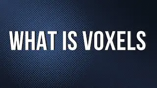 What is Voxels (Simple Explanation Series) 2025