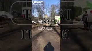 Висадка крупномірних рослин