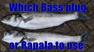Bass which Plug or Rapala to use