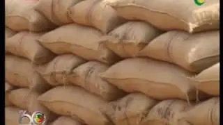 Ghana to mximise benefits from cocoa production