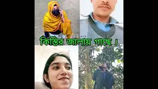 কিস্তি এবার গাছে ।Installment now on the tree