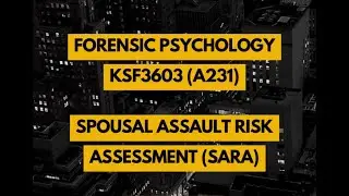 SPOUSAL ASSAULT RISK ASSESSMENT (SARA) A231 (B) by GROUP RED
