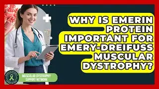 Why Is Emerin Protein Important For Emery-Dreifuss Muscular Dystrophy?