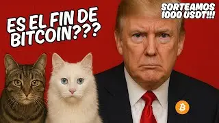 🟢 BITCOIN toca los 94k y se cancela el BULLRUN? O solo es miedo para el retail? PREPARATE... #575
