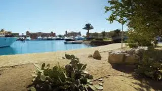 Explore El Gouna on your Red Sea holiday