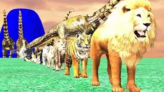 Paint Animals Gorilla Cow Lion Elephant Dinosaurs Fountain Crossing Animal Cartoon