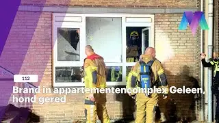 Brand in appartementencomplex Geleen, hond gered
