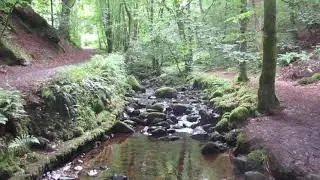 Birnam Glen