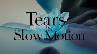 💔 Tears in Slow Motion | A Heartbreak Ballad (Official Audio)