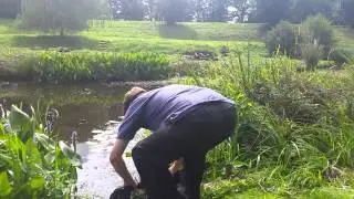 Fly fishing for carp, dog biscuit fly