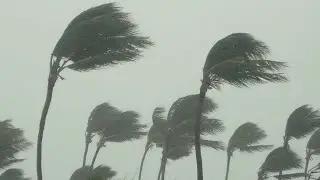 North Queensland on cyclone watch