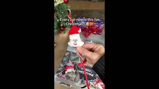 Cat parents pay attention... #fypp #giftideas #christmas #catshorts #petparents
