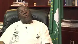 AU Vice Chair
