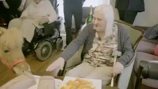 Liva er Norges dyrehelt 2017