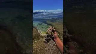 Our beautiful earth, and the lost trash! 🤔🙄⁉️